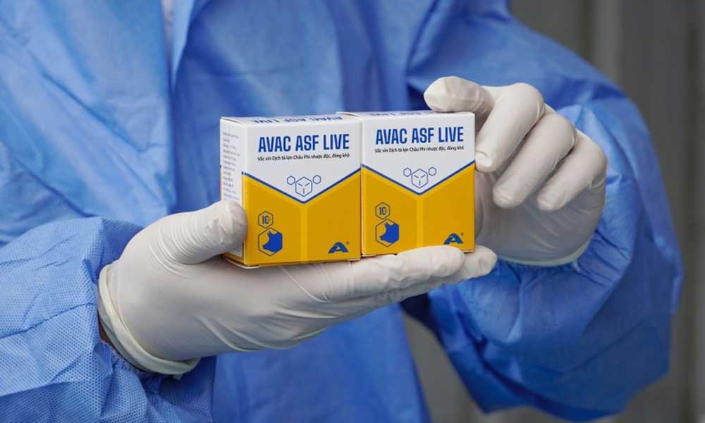 Vietnam exports additional 340,000 doses of ASF vaccine to Philippines